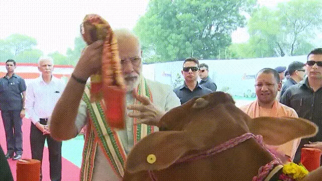 造人牛角象棋怎么玩