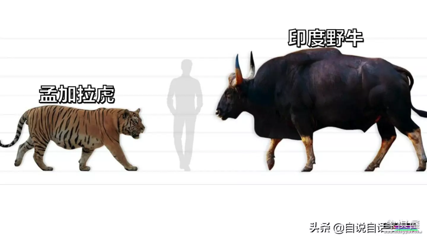 造人牛角象棋怎么玩