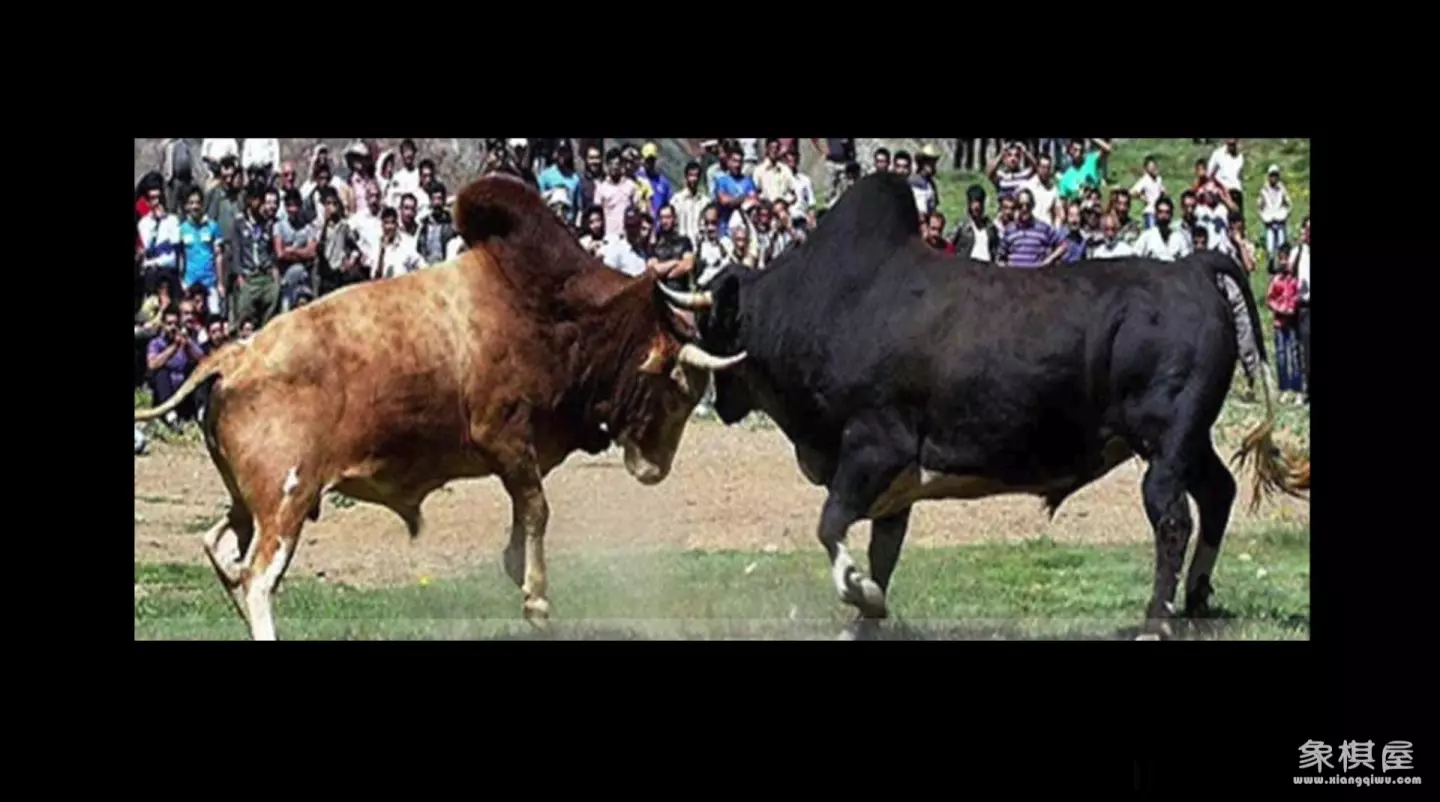 造人牛角象棋怎么玩