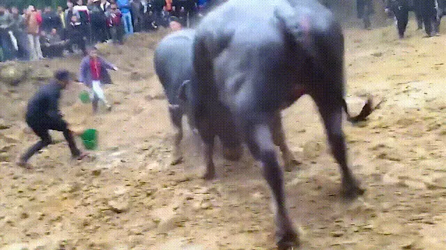 造人牛角象棋怎么玩