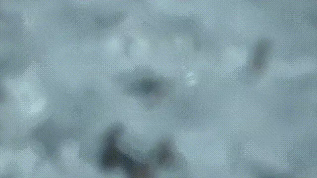 造人牛角象棋怎么玩