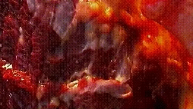 造人牛角象棋怎么玩