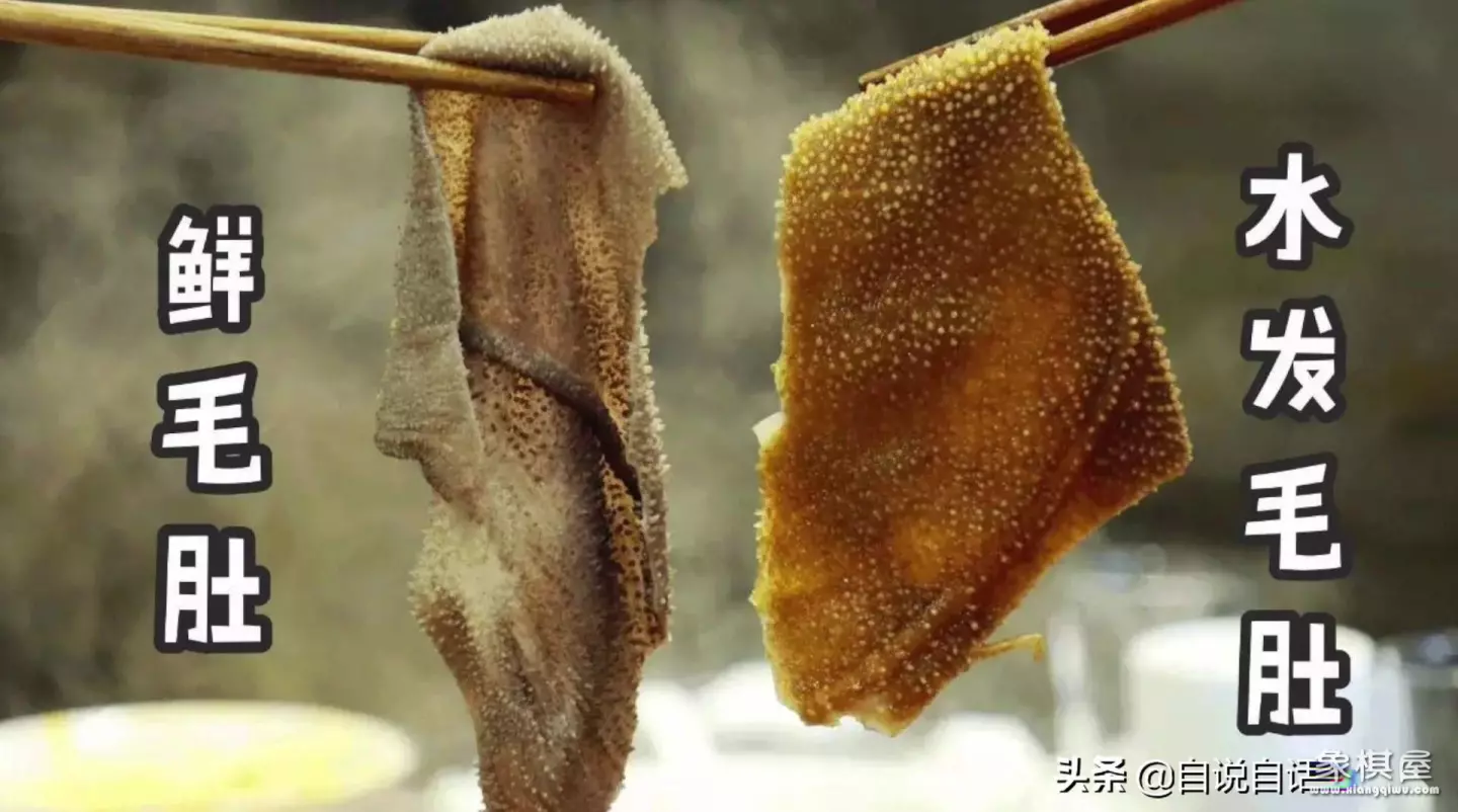 造人牛角象棋怎么玩