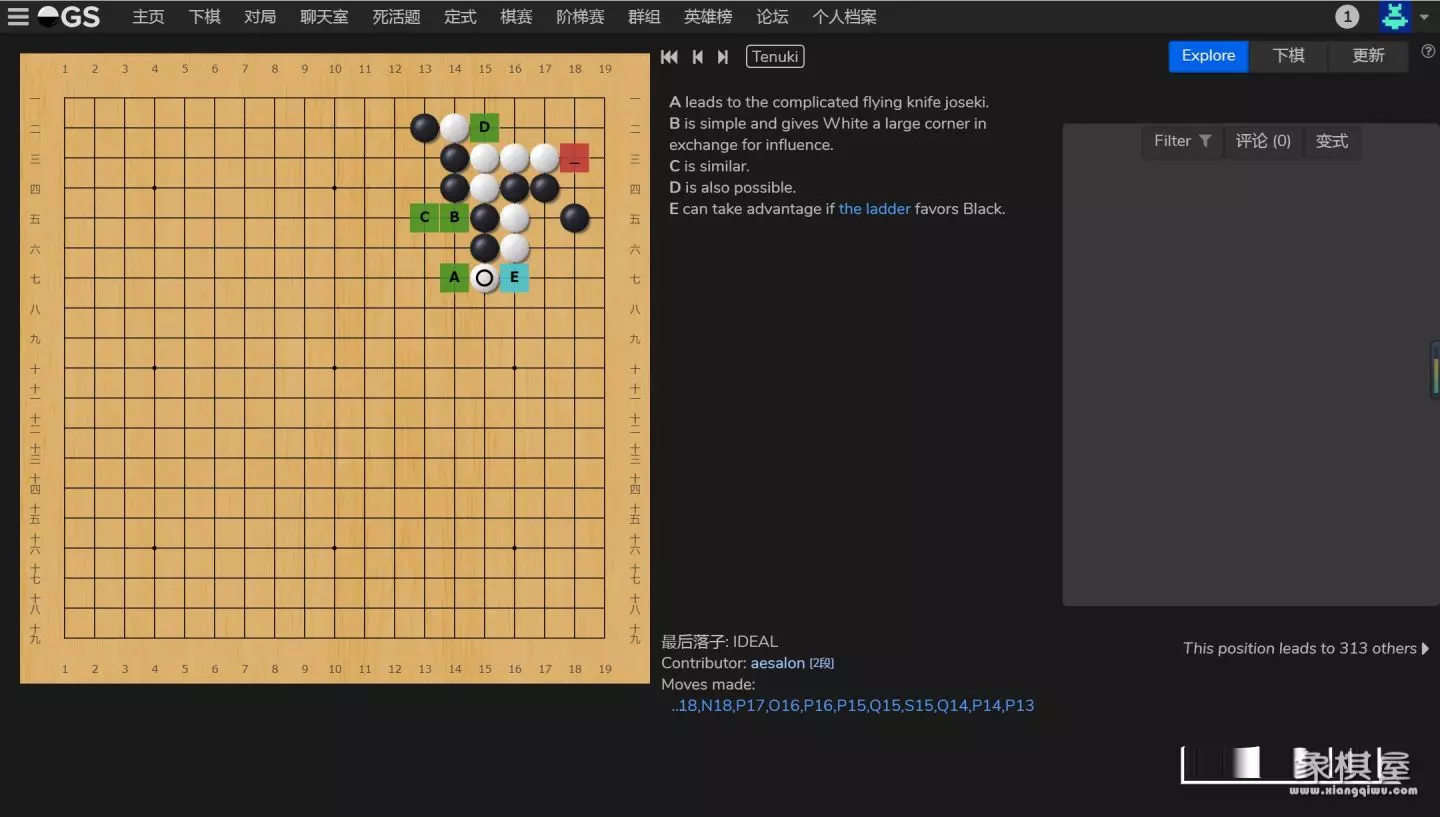 最大的围棋对弈平台