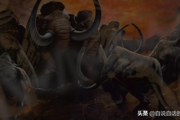 造人牛角象棋怎么玩（挑战思维极限，探索造人牛角象棋的奥秘）.