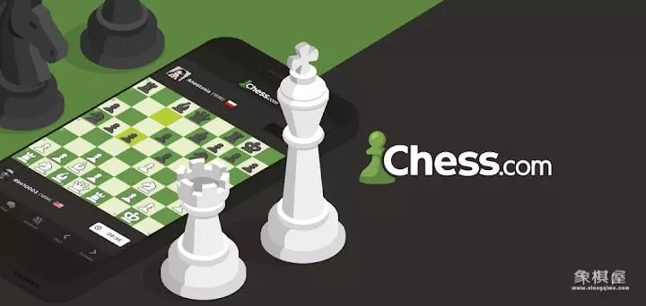国际象棋电脑软件