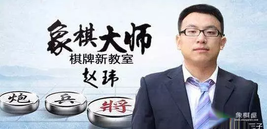 象棋大师赵玮简介