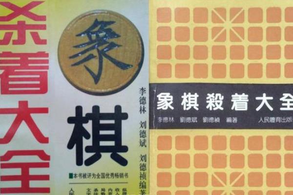 贵州象棋七大棋王（贵州象棋七大棋王，谁将成为最瞩目的焦点）.