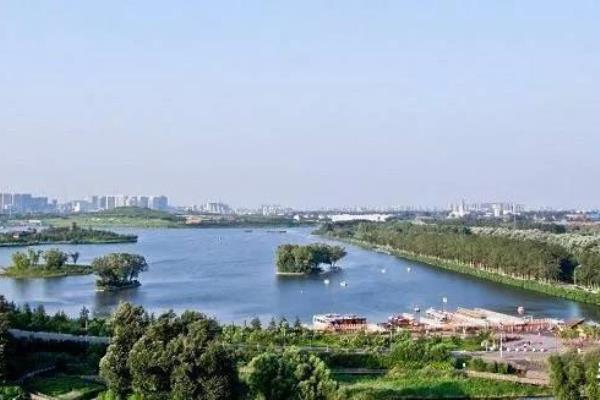 阎文清是不是特级大师（阎文清能否成为特级大师）.