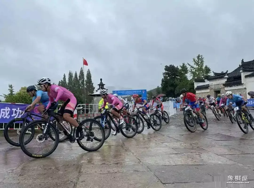 中国象棋的各种品牌的价格表是多少