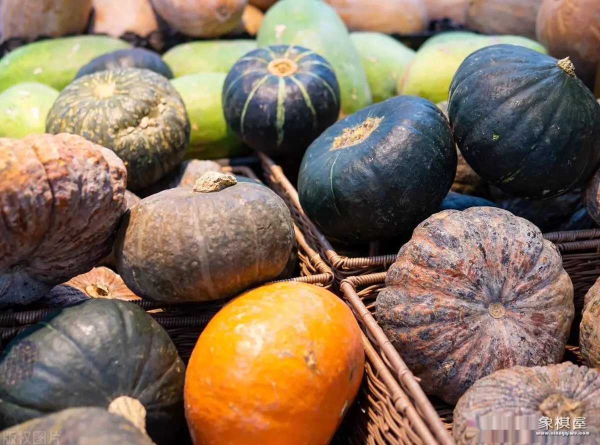 葫芦的品种有哪些