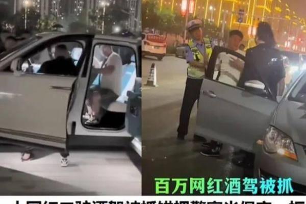 网红二驴醉驾（网红二驴醉驾，为何他要拿生命当儿戏）.