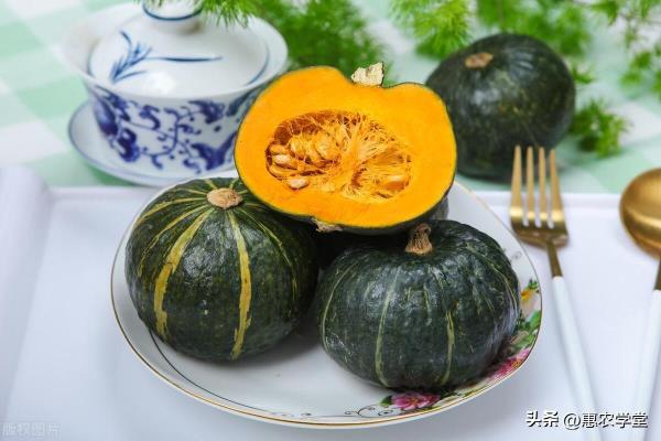 葫芦的品种有哪些（想要了解葫芦的多样性吗）.