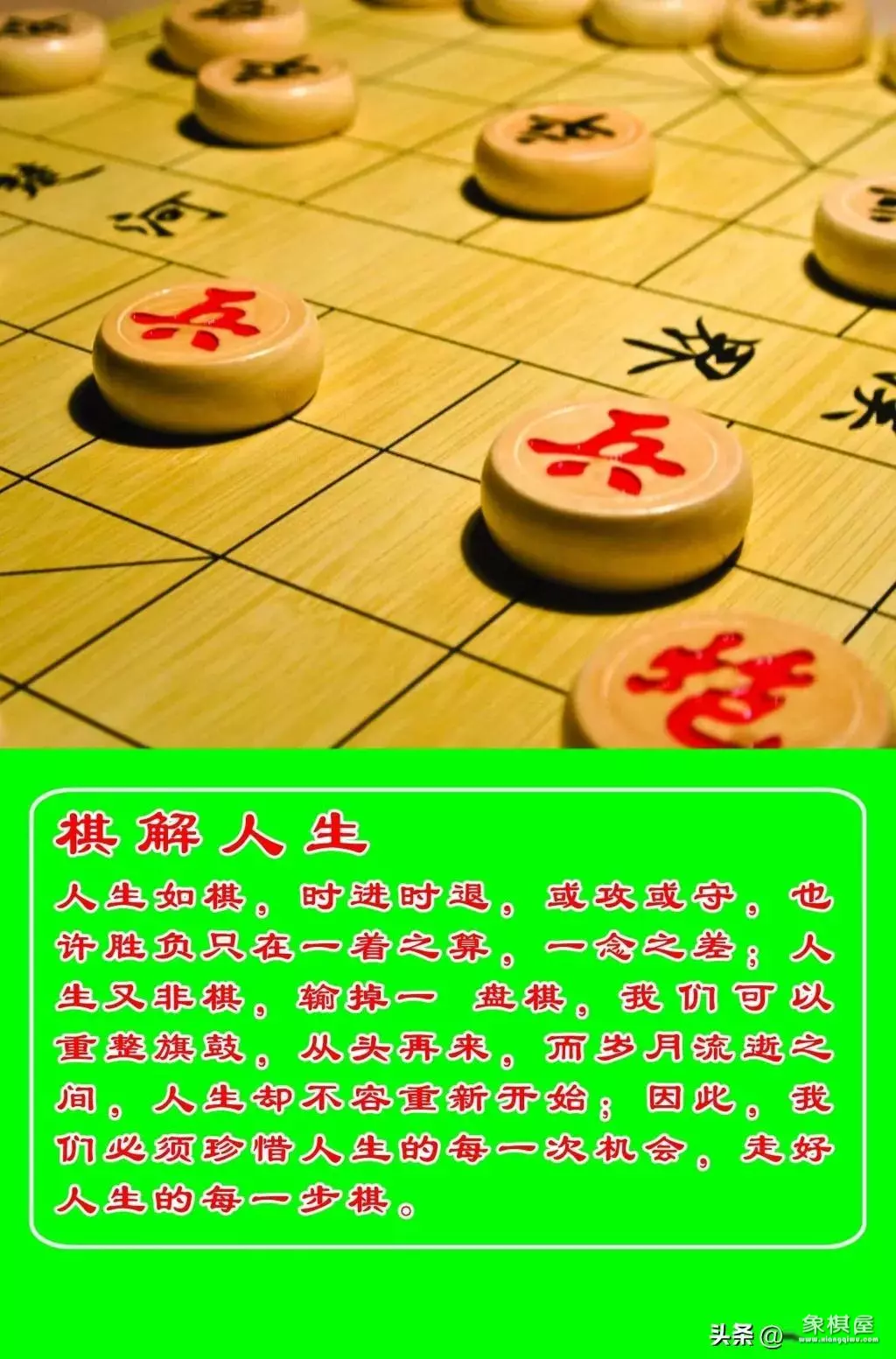 象棋感悟人生哲理