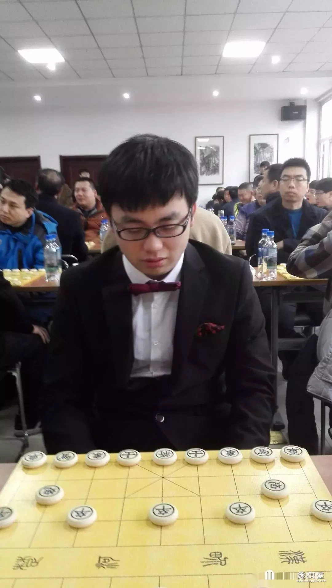 象棋大师从宽个人资料