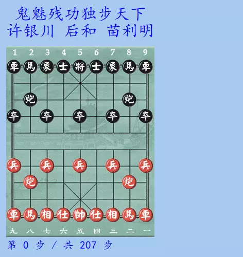 许银川的残棋