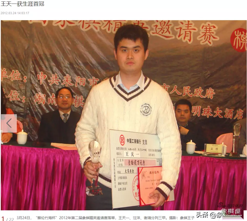 赵玮大师评价王天一