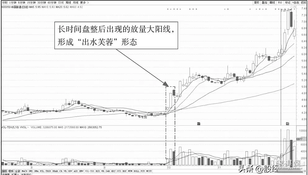 仙人指路仙人好像在说
