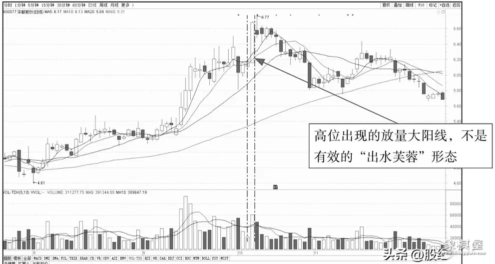 仙人指路仙人好像在说