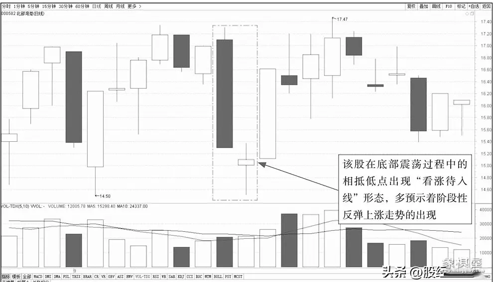 仙人指路仙人好像在说