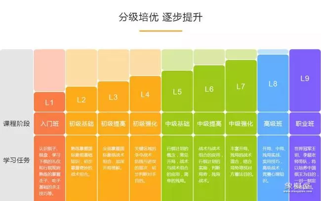 学国际象棋有出路吗