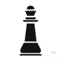 学了国际象棋的孩子后来怎样了