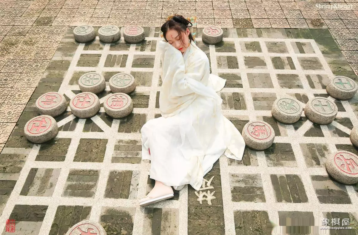 象棋软件会毁了象棋吗知乎文章
