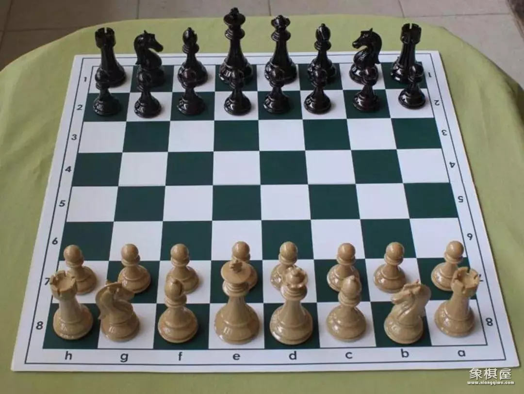 天天象棋挂机刷分软件