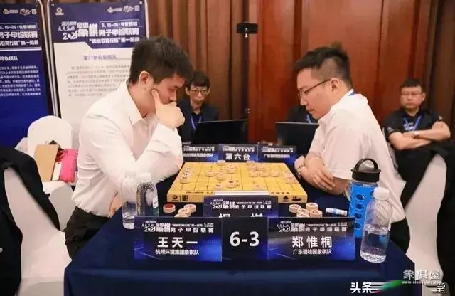 洪智评价王天一和郑惟桐