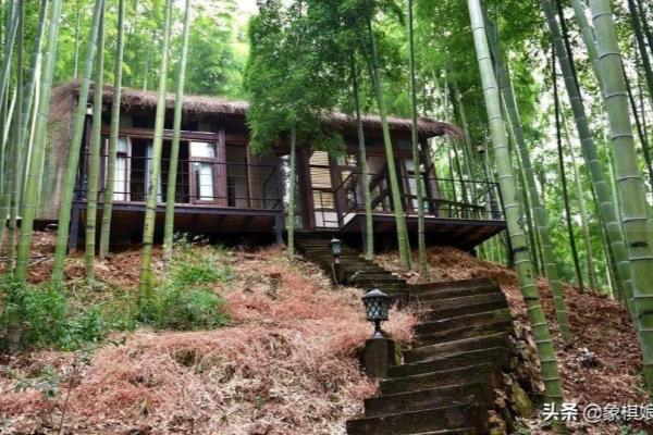 象棋中的弃子（如何在象棋中巧妙地弃子制胜）.