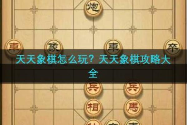 天天象棋电脑版进不去（天天象棋电脑版无法进入）.