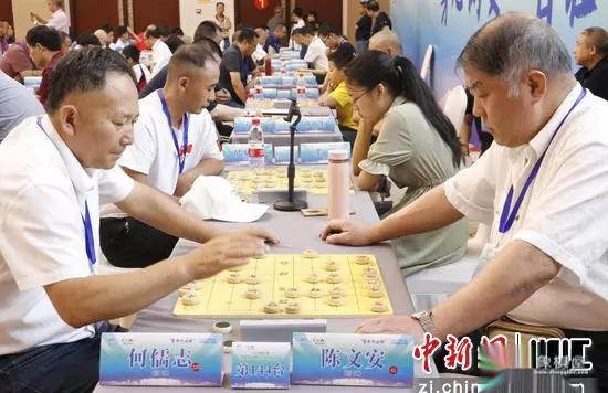 磐安伟业杯象棋公开赛