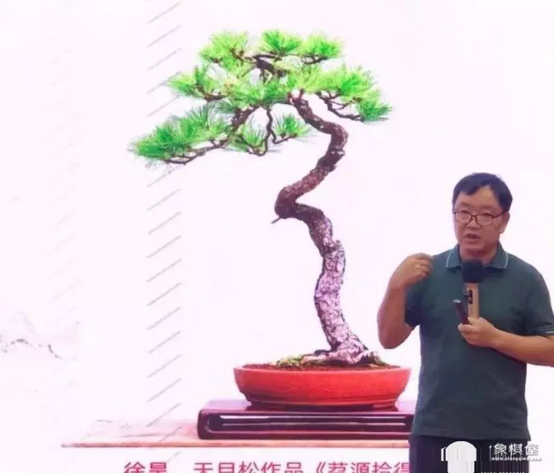 徐昊盆景艺木大师