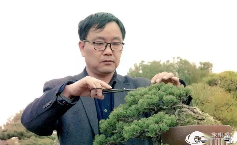 徐昊盆景艺木大师