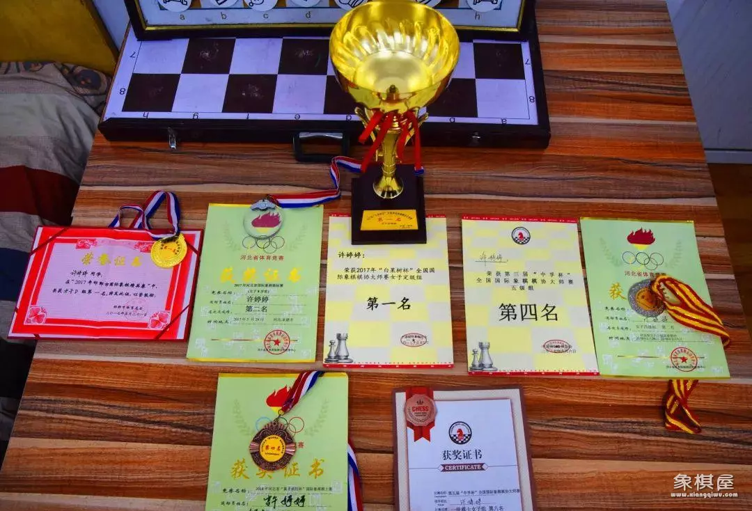 棋协大师是什么水平