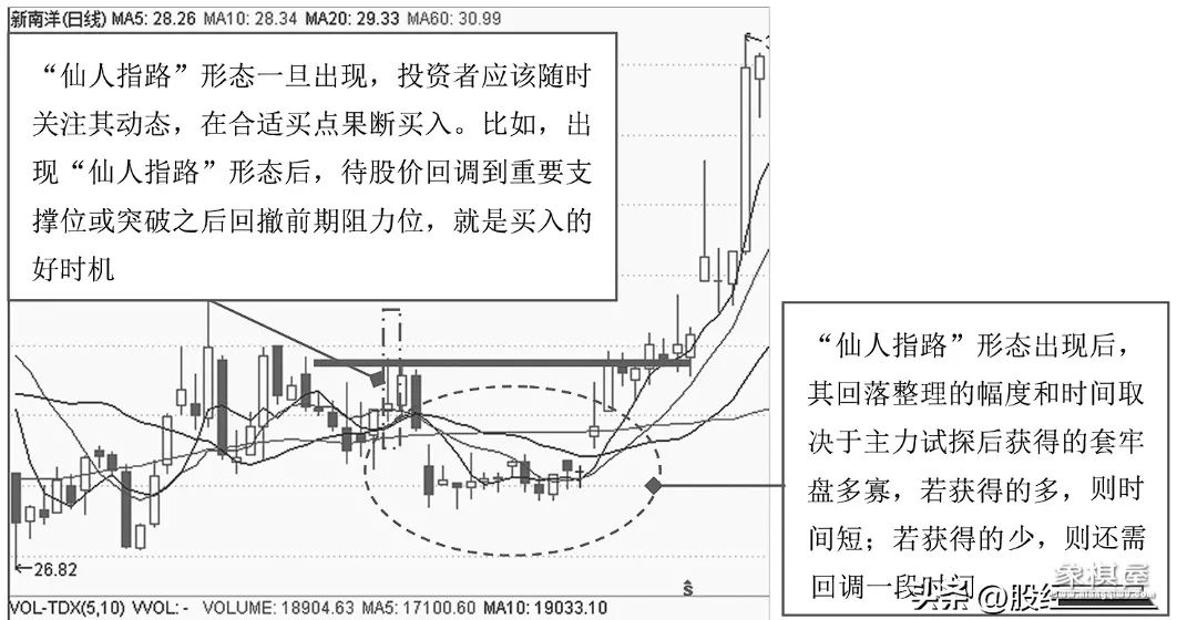 仙人指路涨幅可翻倍吗
