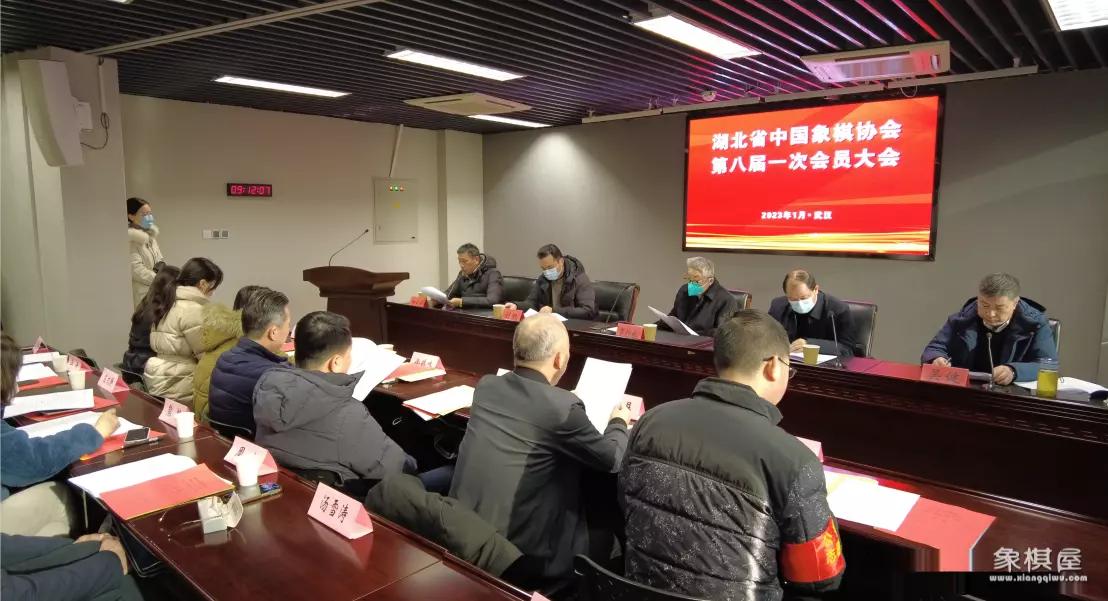 中国象棋协会会长