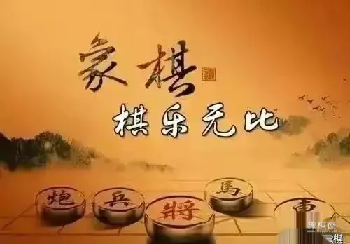 中国的象棋双方各有几种棋子