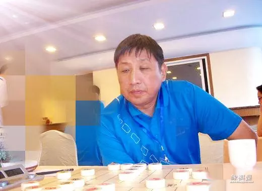 柳大华在特大什么级别