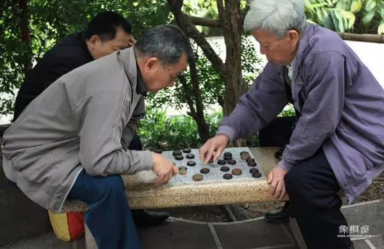象棋频道是哪个电视台