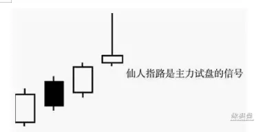 仙人指路经典形态