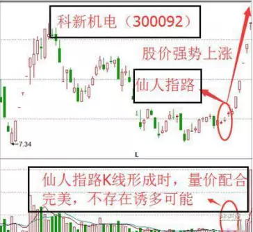 仙人指路经典形态