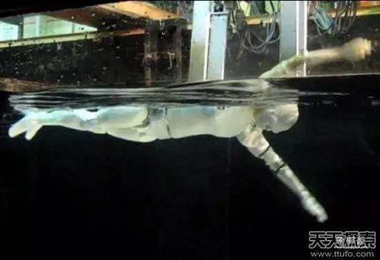 象棋机器人赢世界冠军