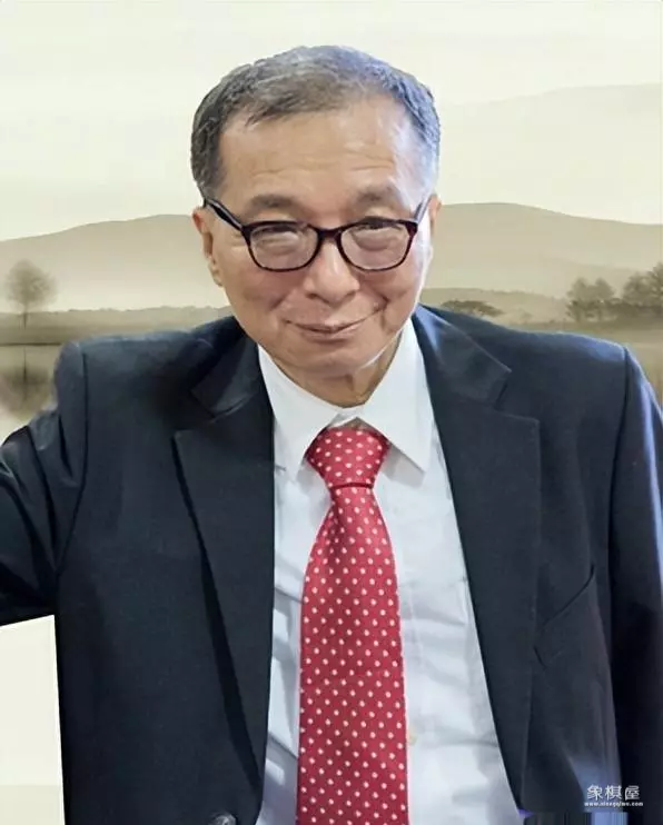 目前最好的揭棋软件