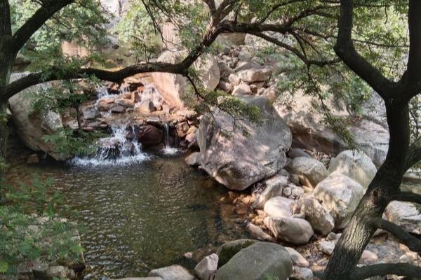 沿河十八打最好的解说（沿河十八打，为何它能成为最佳解说）