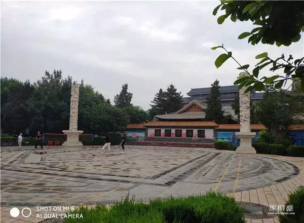 庆阳市有没有什么象棋教练