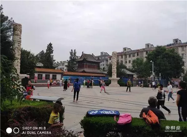 庆阳市有没有什么象棋教练
