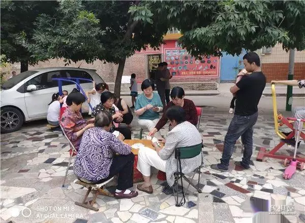 庆阳市有没有什么象棋教练