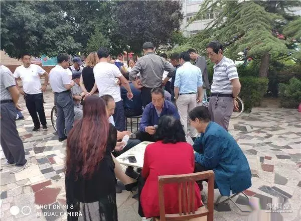 庆阳市有没有什么象棋教练