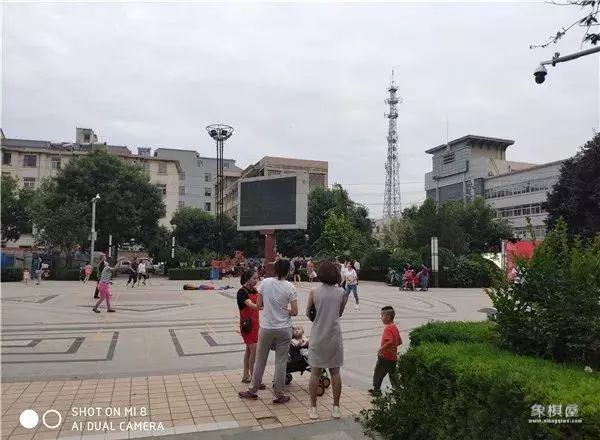 庆阳市有没有什么象棋教练